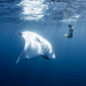 Meet your Posher, Nicholas